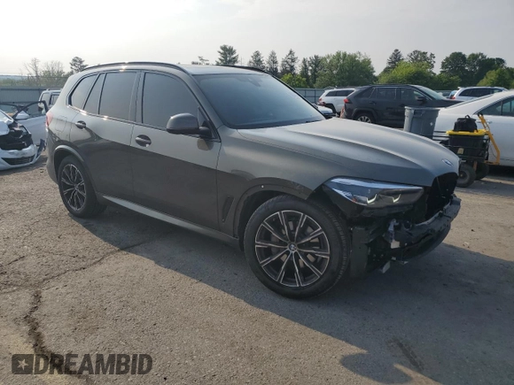 2021 BMW X5 xDrive40i with VIN 5UXCR6C03M9H11275, listed as a Copart auction lot 59954905 with 48,890 mi miles and Salvage title. Bid and sale history available at DreamBid. Image 4.