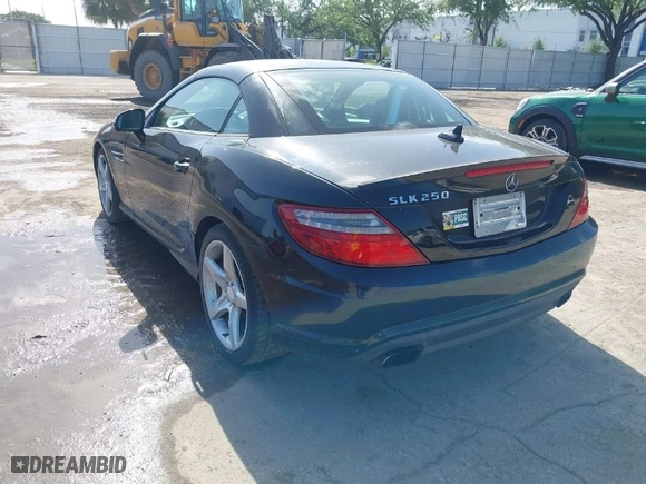 2013 Mercedes-Benz SLK-Class SLK 250 with VIN WDDPK4HA5DF059891, listed as a IAAI auction lot 42015777 with 79,255 mi miles. Bid and sale history available at carsss.com. Image 3.