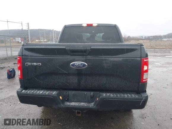 2015 Ford F-150 XLT with VIN 1FTEW1EP2FFB96318, listed as a IAAI auction lot 41578663 with 143,560 mi miles. Bid and sale history available at carsss.com. Image 16.