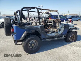 1995 Jeep Wrangler S with VIN 1J4FY19P8SP274074, listed as a Copart auction lot 74381094 with 0 mi miles and Salvage Title. Bid and sale history available at carsss.com. Image 3.
