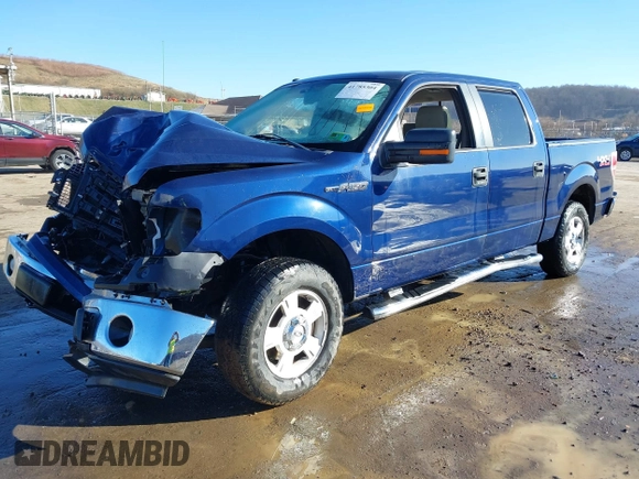 2009 Ford F-150 XL z VIN 1FTPW14V89FA15008, wystawiony jako IAAI lot #41785304 z przebiegiem 146 117 mil mil oraz . Historia ofert i sprzedaży dostępna na DreamBid. Obrazek 19.