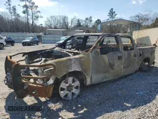 2014 Ford F-150 XL with VIN 1FTFW1EF8EKD56705, listed as a Copart auction lot 46222385 with 0 mi miles and Non Repairable. Bid and sale history available at carsss.com. Image 1.
