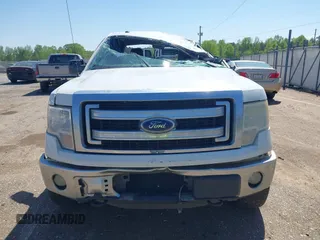 2013 Ford F-150 XL with VIN 1FTFX1EFXDFC59882, listed as a IAAI auction lot 42025983 with 291,615 mi miles and . Bid and sale history available at carsss.com. Image 12.
