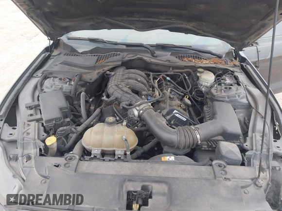 2017 Ford Mustang V6 with VIN 1FA6P8AM2H5272088, listed as a IAAI auction lot 41619042 with 197,657 mi miles and . Bid and sale history available at carsss.com. Image 10.