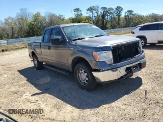 2010 Ford F-150 XL with VIN 1FTEX1CW4AFD39298, listed as a Copart auction lot 49581095 with 190,791 mi miles and Salvage Title. Bid and sale history available at carsss.com. Image 4.