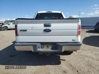 2010 Ford F-150 XL with VIN 1FTFX1EVXAFA84018, listed as a Copart auction lot 59456813 with 0 mi miles and Clean Title. Bid and sale history available at carsss.com. Image 6.
