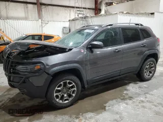 2020 Jeep Cherokee Trailhawk with VIN 1C4PJMBX5LD591873, listed as a Copart auction lot 54308695 with 34,615 mi miles and Salvage title. Bid and sale history available at DreamBid. Image 1.