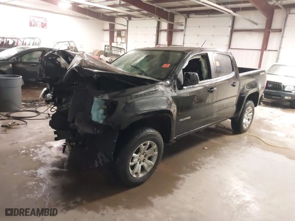 2019 Chevrolet Colorado 4WD LT with VIN 1GCGTCEN3K1119704, listed as a IAAI auction lot 41214516 with 1 mi miles. Bid and sale history available at carsss.com. Image 2.