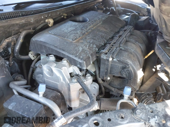 2019 Nissan Sentra SV with VIN 3N1AB7AP5KY343353, listed as a IAAI auction lot 41666933 with 81,018 mi miles and . Bid and sale history available at DreamBid. Image 10.