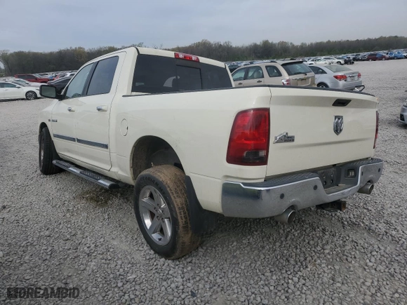 2010 Dodge Ram 1500 SLT with VIN 1D7RB1CT7AS234967, listed as a Copart auction lot 50953835 with 0 mi miles and Salvage Title. Bid and sale history available at carsss.com. Image 2.