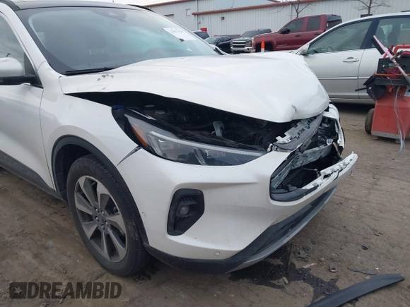 2024 Ford Escape Platinum with VIN 1FMCU9JA2RUA09782, listed as a IAAI auction lot 41077620 with Not Provided miles and . Bid and sale history available at DreamBid. Image 6.