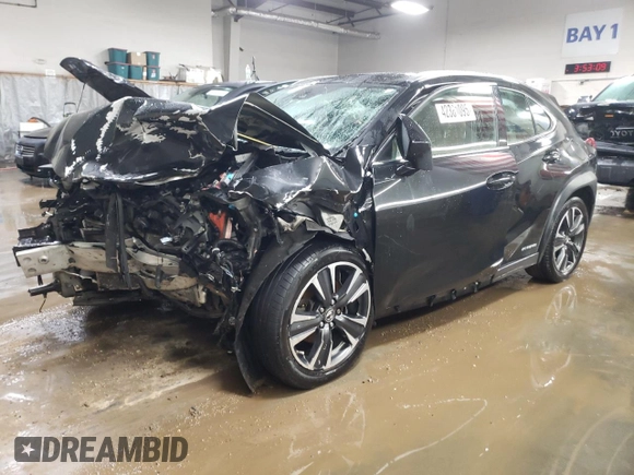 2019 Lexus UX 250h with VIN JTHU9JBH9K2009009, listed as a Copart auction lot 42381095 with Not provided miles and Salvage title. Bid and sale history available at DreamBid. Image 1.