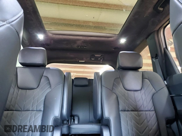 2025 Kia Telluride SX X-Line with VIN 5XYP5DGC2SG591453, listed as a Copart auction lot 55469695 with 4,027 mi miles and Salvage title. Bid and sale history available at DreamBid. Image 10.