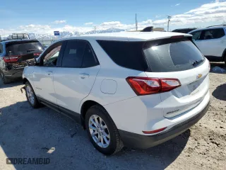 2019 Chevrolet Equinox LS with VIN 3GNAXHEVXKS626192, listed as a Copart auction lot 50269295 with 123,162 mi miles and Salvage Title. Bid and sale history available at carsss.com. Image 2.