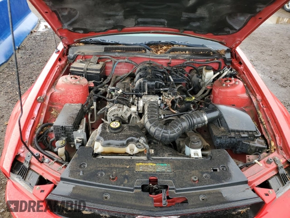 2009 Ford Mustang with VIN 1ZVHT80NX95135438, listed as a Copart auction lot 58694035 with 261,109 mi miles and Clean title. Bid and sale history available at DreamBid. Image 11.