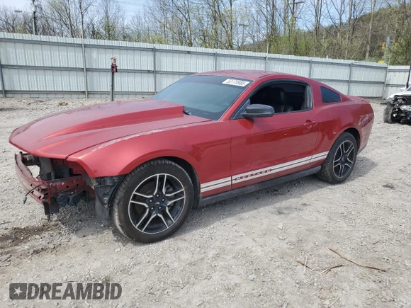 2010 Ford Mustang V6 with VIN 1ZVBP8AN1A5131923, listed as a Copart auction lot 53170985 with 170,449 mi miles and Salvage Title. Bid and sale history available at DreamBid. Image 1.