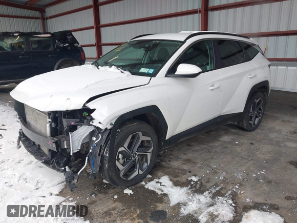 2024 Hyundai Tucson SEL with VIN 5NMJBCDE2RH424685, listed as a IAAI auction lot 41524218 with 10,481 mi miles and . Bid and sale history available at DreamBid. Image 2.