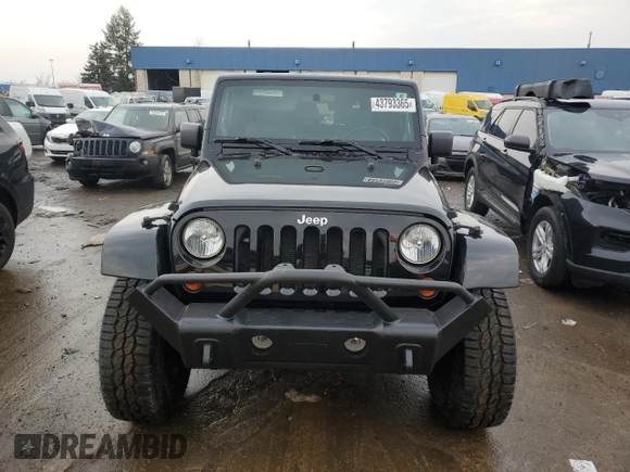 2010 Jeep Wrangler Sahara with VIN 1J4AA5D19AL110394, listed as a Copart auction lot 43793365 with 116,190 mi miles and Clean title. Bid and sale history available at DreamBid. Image 5.
