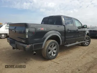 2011 Ford F-150 XL with VIN 1FTFW1EF5BKD29344, listed as a Copart auction lot 50380205 with 117,289 mi miles and Salvage Title. Bid and sale history available at DreamBid. Image 3.