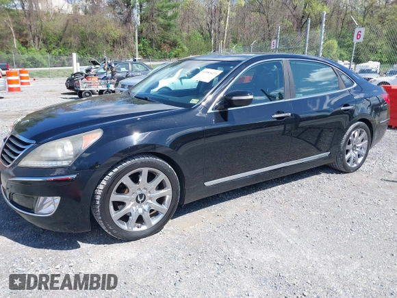 2011 Hyundai Equus Signature with VIN KMHGH4JF5BU041717, listed as a IAAI auction lot 41989423 with 175,113 mi miles and . Bid and sale history available at DreamBid. Image 2.