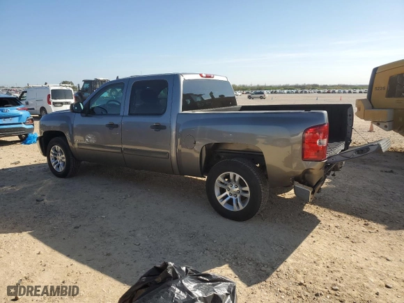 2009 Chevrolet Silverado 1500 LS with VIN 3GCEC13C59G226181, listed as a Copart auction lot 86012874 with 223,162 mi miles and Salvage Title. Bid and sale history available at carsss.com. Image 2.