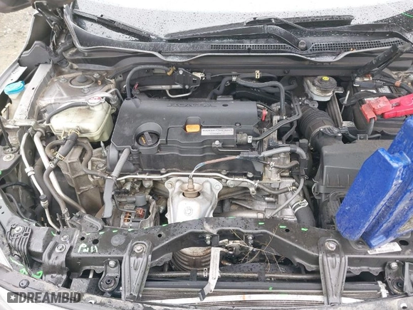 2017 Honda Civic Sedan EX with VIN 19XFC2F7XHE019790, listed as a IAAI auction lot 41862622 with 1 mi miles. Bid and sale history available at carsss.com. Image 10.