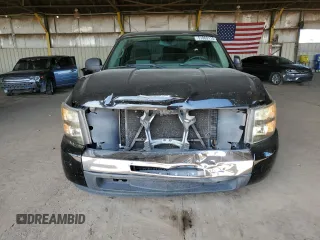 2009 Chevrolet Silverado 1500 Work Truck with VIN 1GCEC14X69Z159141, listed as a Copart auction lot 51869115 with 232,836 mi miles and Salvage Title. Bid and sale history available at DreamBid. Image 5.