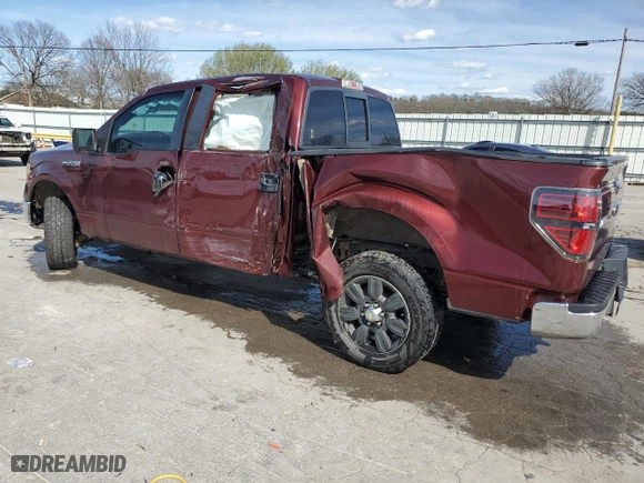 2010 Ford F-150 XL with VIN 1FTEW1C85AFC14816, listed as a Copart auction lot 49848455 with 0 mi miles and Salvage Title. Bid and sale history available at carsss.com. Image 2.