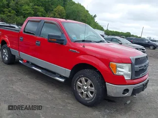 2009 Ford F-150 XL z VIN 1FTRW14849FB23015, wystawiony jako IAAI lot #42343010 z przebiegiem 114 245 mil mil oraz . Historia ofert i sprzedaży dostępna na DreamBid. Obrazek 1.