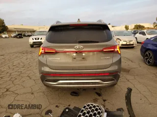 2023 Hyundai Santa Fe Hybrid SEL Premium with VIN 5NMS3DA19PH022121, listed as a Copart auction lot 78916994 with 20,980 mi miles and Salvage Title. Bid and sale history available at carsss.com. Image 6.