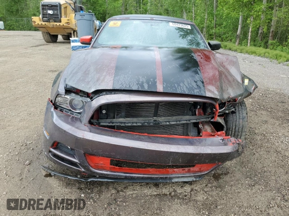 2013 Ford Mustang V6 with VIN 1ZVBP8EMXD5213980, listed as a Copart auction lot 60423625 with 220,419 mi miles and Salvage title. Bid and sale history available at DreamBid. Image 5.