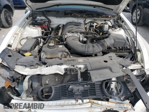 2010 Ford Mustang GT with VIN 1ZVBP8CH1A5115616, listed as a Copart auction lot 54581115 with Not Provided miles and Clean Title. Bid and sale history available at carsss.com. Image 11.