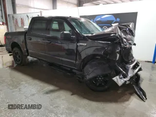 2016 Ford F-150 XLT with VIN 1FTEW1EF7GFA21880, listed as a Copart auction lot 43583745 with 176,071 mi miles and Clean Title. Bid and sale history available at carsss.com. Image 4.
