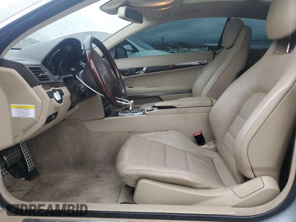 2010 Mercedes-Benz E-Class E 550 with VIN WDDKJ7CB5AF046696, listed as a Copart auction lot 49076015 with 0 mi miles and Salvage Title. Bid and sale history available at carsss.com. Image 7.
