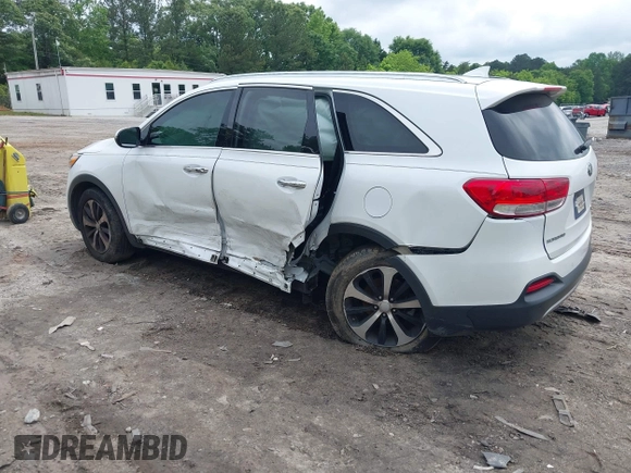 2017 Kia Sorento EX with VIN 5XYPH4A55HG253166, listed as a IAAI auction lot 42220030 with 129,524 mi miles and . Bid and sale history available at DreamBid. Image 3.