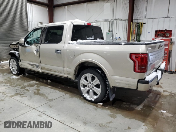 2017 Ford F-150 XL with VIN 1FTEW1EG1HFA53931, listed as a Copart auction lot 44561815 with 134,268 mi miles and Salvage Title. Bid and sale history available at carsss.com. Image 2.