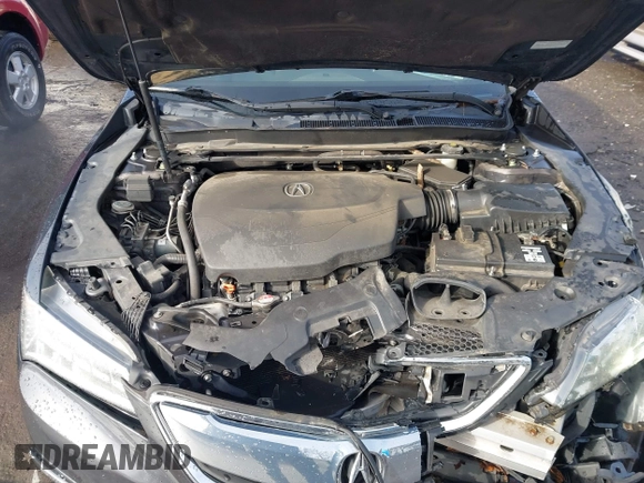 2015 Acura TLX Technology with VIN 19UUB2F58FA010967, listed as a IAAI auction lot 41370203 with 195,000 mi miles and . Bid and sale history available at DreamBid. Image 10.