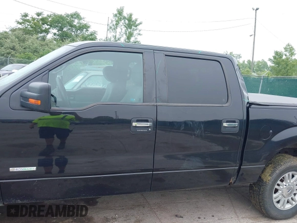 2014 Ford F-150 XL with VIN 1FTFW1ET9EFB75417, listed as a IAAI auction lot 42449180 with 219,028 mi miles and . Bid and sale history available at DreamBid. Image 14.