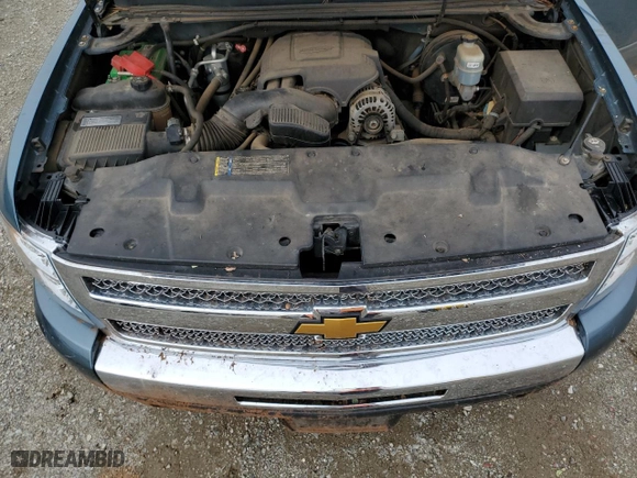 2010 Chevrolet Silverado 1500 LS with VIN 3GCRKREA6AG124231, listed as a Copart auction lot 49650935 with 172,209 mi miles and Salvage Title. Bid and sale history available at carsss.com. Image 11.