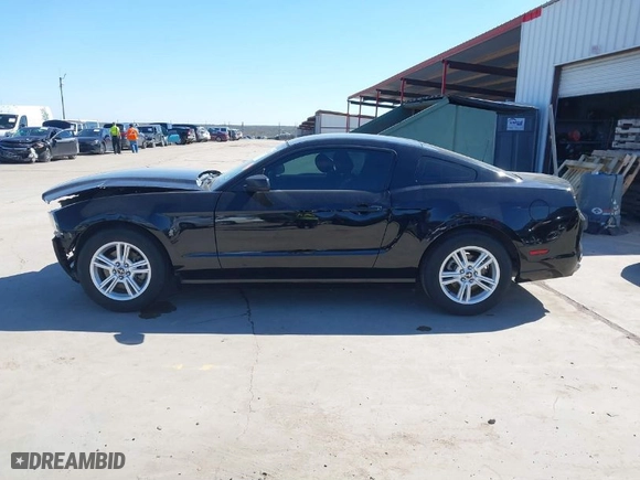 2013 Ford Mustang V6 with VIN 1ZVBP8AM8D5259572, listed as a IAAI auction lot 41655526 with 42,753 mi miles. Bid and sale history available at carsss.com. Image 15.