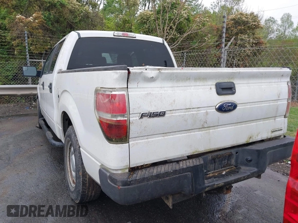 2013 Ford F-150 XL with VIN 1FTFW1CF1DKE95110, listed as a IAAI auction lot 41953854 with 1 mi miles. Bid and sale history available at carsss.com. Image 16.