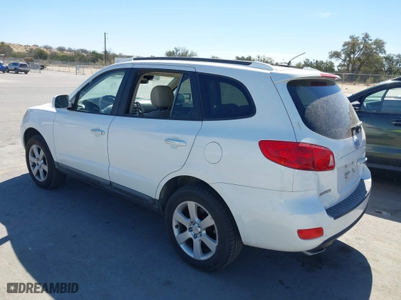 2008 Hyundai Santa Fe SE with VIN 5NMSH13E48H194784, listed as a IAAI auction lot 41824245 with 199,238 mi miles. Bid and sale history available at carsss.com. Image 3.