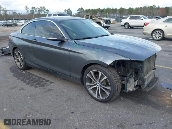 2015 BMW 2 Series 228i with VIN WBA1F5C59FV257447, listed as a IAAI auction lot 41706206 with 119,086 mi miles. Bid and sale history available at carsss.com. Image 1.
