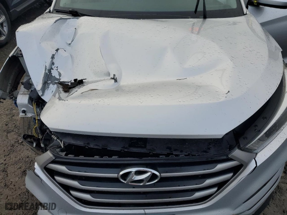 2017 Hyundai Tucson SE with VIN KM8J3CA46HU339201, listed as a Copart auction lot 45934775 with 0 mi miles and Salvage Title. Bid and sale history available at carsss.com. Image 12.