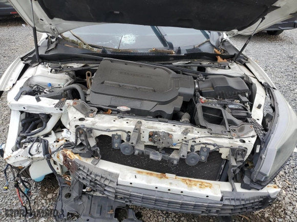 2014 Honda Accord Sedan EX-L with VIN 1HGCR3F86EA032276, listed as a Copart auction lot 52964505 with 0 mi miles and Clean Title. Bid and sale history available at carsss.com. Image 11.