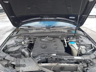 2014 Audi A4 Premium Plus with VIN WAUFFAFL7EN044343, listed as a IAAI auction lot 41636051 with 126,610 mi miles. Bid and sale history available at carsss.com. Image 10.