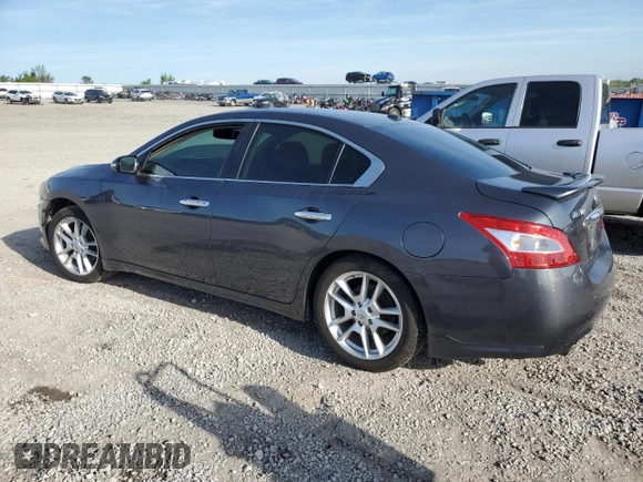 2011 Nissan Maxima SV with VIN 1N4AA5AP5BC840910, listed as a Copart auction lot 54042515 with Not provided miles and Salvage title. Bid and sale history available at DreamBid. Image 2.