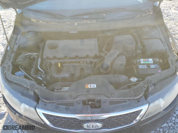 2013 Kia Forte EX with VIN KNAFU4A20D5699593, listed as a Copart auction lot 88519435 with NaN miles and Salvage Title. Bid and sale history available at carsss.com. Image 13.