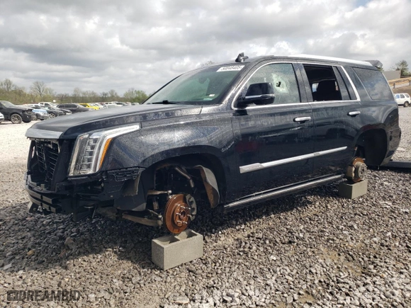 2016 Cadillac Escalade Premium Collection with VIN 1GYS3CKJ1GR271401, listed as a Copart auction lot 50048405 with 0 mi miles and Salvage Title. Bid and sale history available at carsss.com. Image 1.
