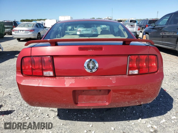2006 Ford Mustang Standard with VIN 1ZVFT80N365106267, listed as a Copart auction lot 49793925 with Not Provided miles and Salvage Title. Bid and sale history available at carsss.com. Image 6.